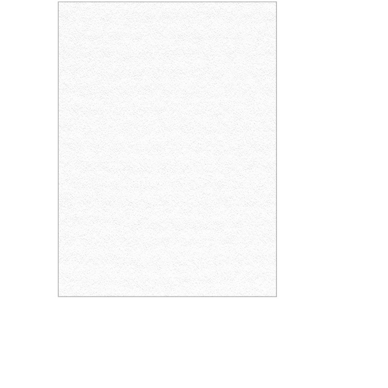 Bawełniany papier do pasteli i rysunku Lana Colours 160 gsm white - A4