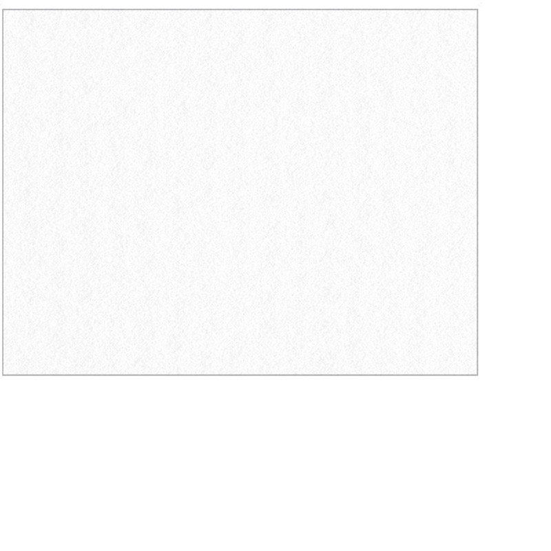 Papier do pasteli i rysunku Lana Colours 160 gsm - 50x65 cm - white