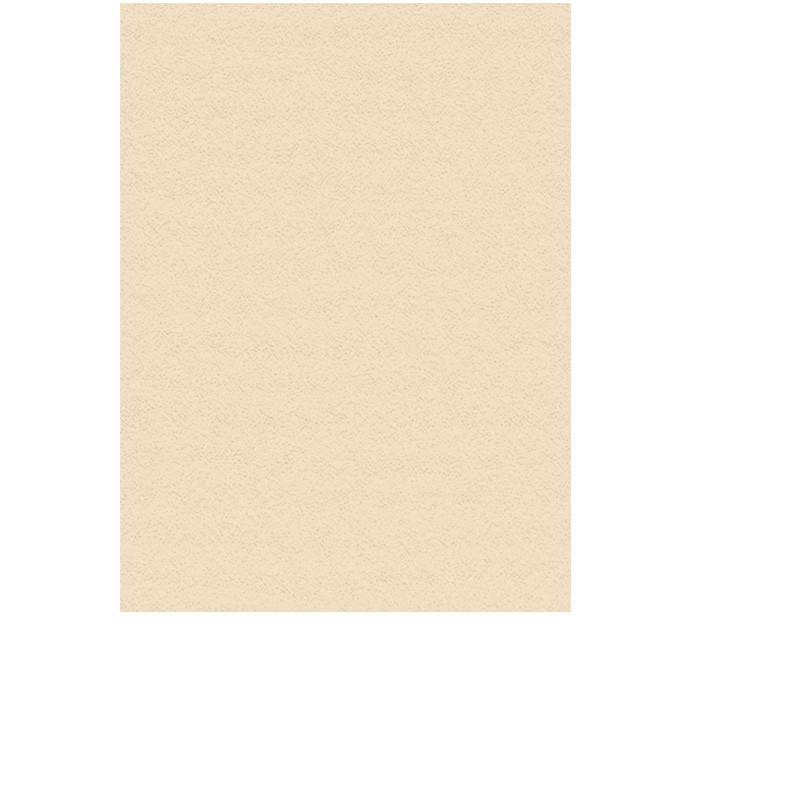 Bawełniany papier do pasteli i rysunku Lana Colours 160 gsm cream - A4