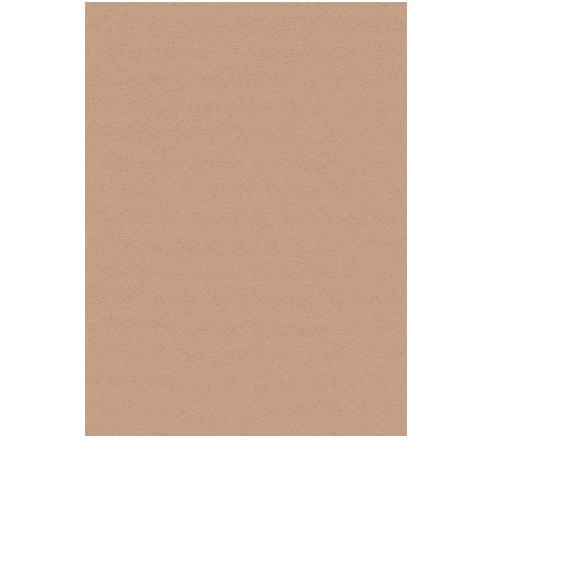 Bawełniany papier do pasteli i rysunku Lana Colours 160 gsm brown - A4