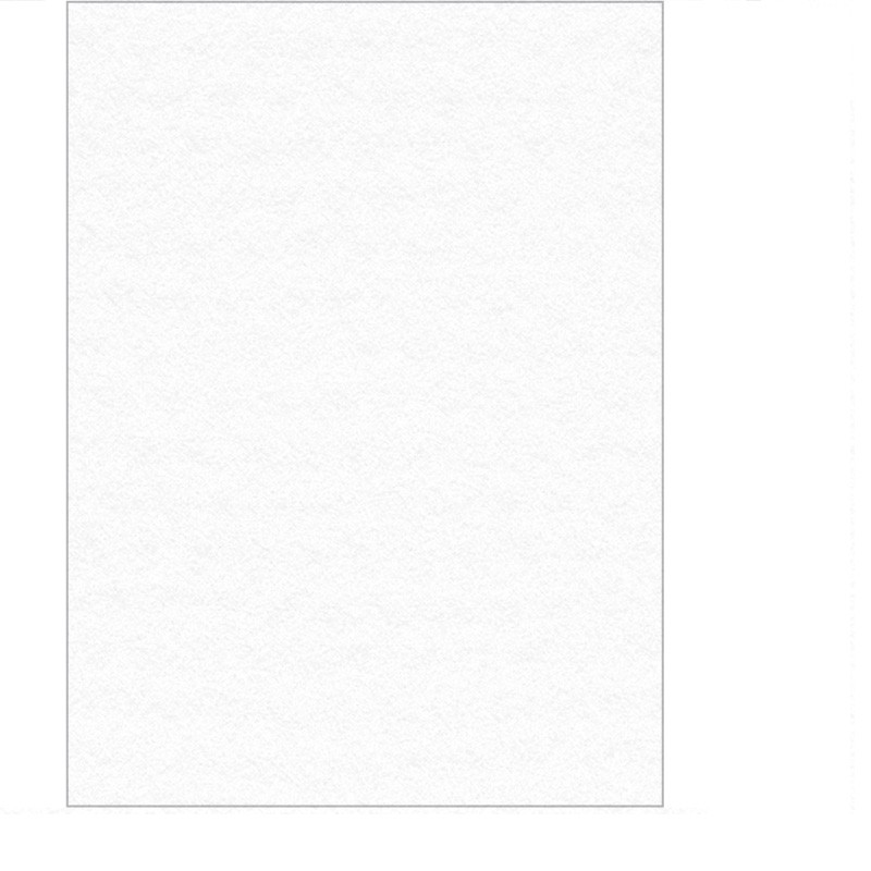 Papier do pasteli i rysunku Lana Colours 160 gsm 100x70 cm - white