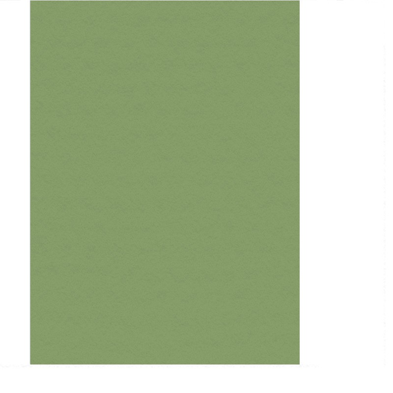 Papier do pasteli i rysunku Lana Colours 160 gsm 100x70 cm - sap green