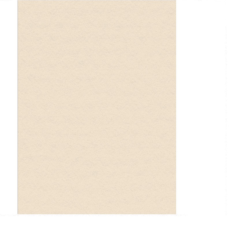 Papier do pasteli i rysunku Lana Colours 160 gsm 100x70 cm - ivory