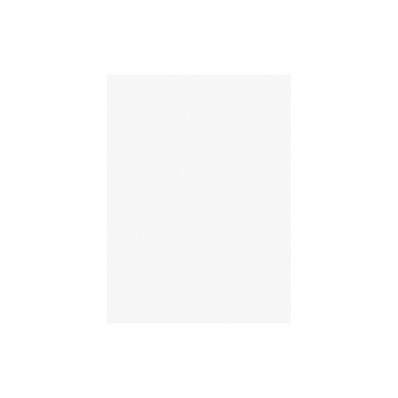 Papier do pasteli Hahnemuhle Ingres Pastel 100 gsm - white - 62,5x48 cm