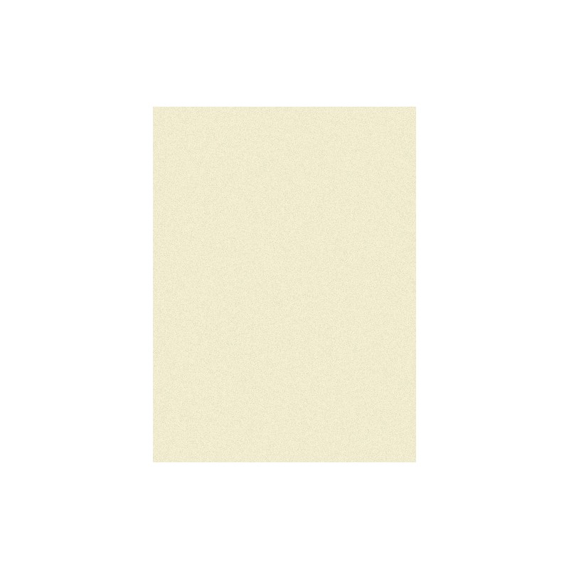 Papier do pasteli Hahnemühle Ingres Pastel 100 gsm - ivory - 48x62,5 cm