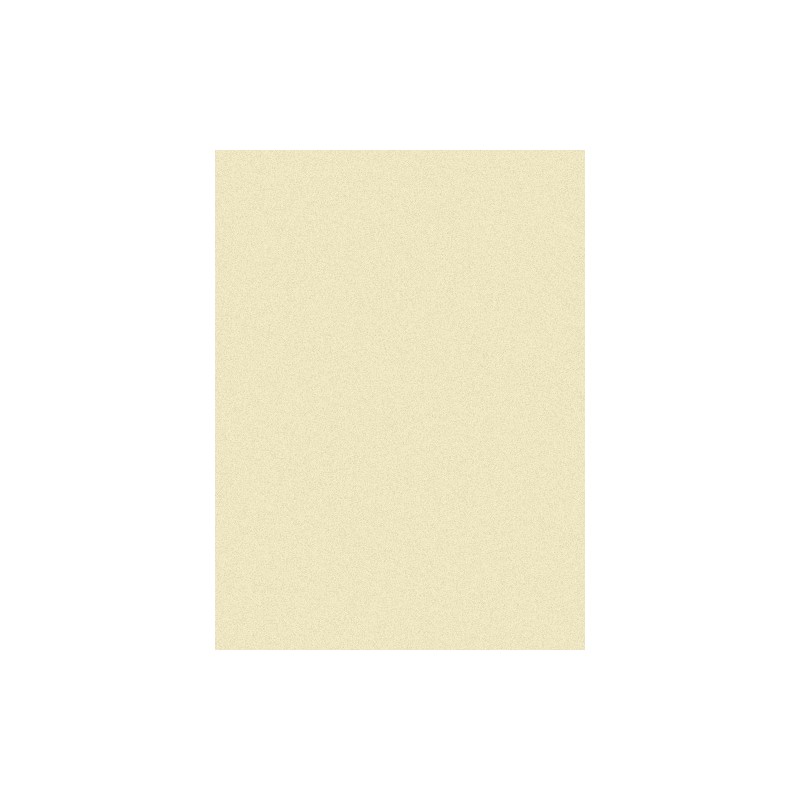 Papier do pasteli Hahnemühle Ingres Pastel 100 gsm - antique - 48x62,5 cm