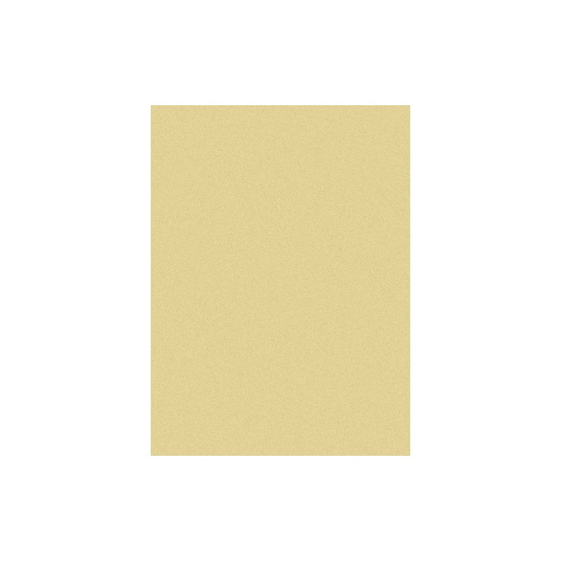 Papier do pasteli Hahnemühle Ingres Pastel 100 gsm - yellowish - 48x62,5 cm