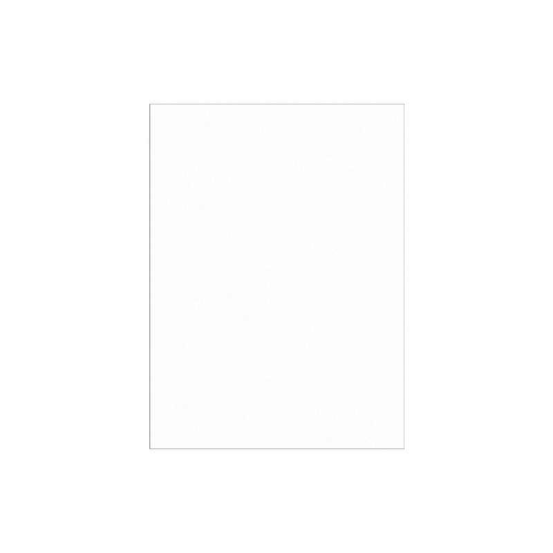 Papier do pasteli Hahnemühle Ingres Pastel 100 gsm - bright white - 48x62,5 cm