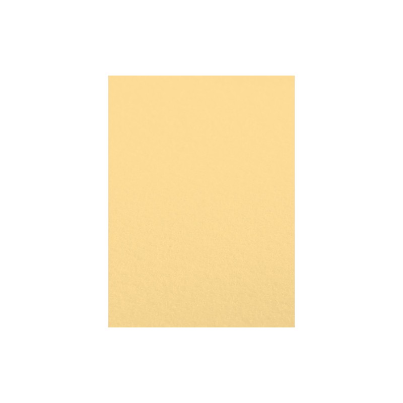 Papier welurowy do pasteli Hahnemühle Velour 260 gsm - 50x70 cm - żółty