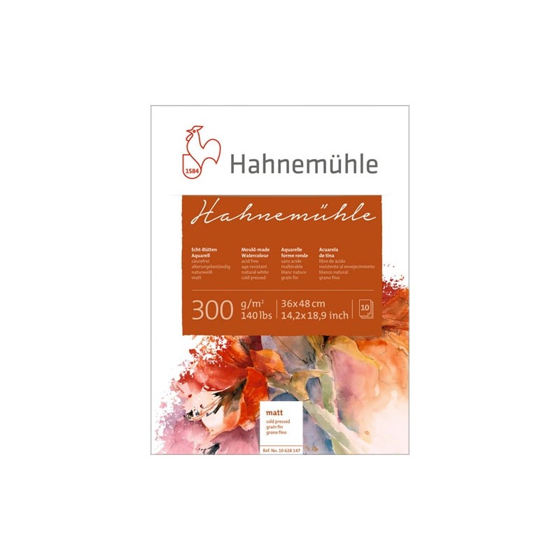 Blok do akwareli Hahnemühle 300 g rough - 42 x 56 cm