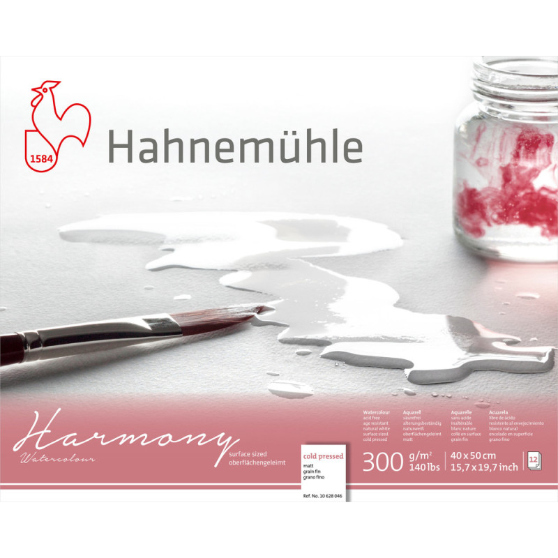 Blok do akwareli Hahnemuhle Harmony 300 g cold pressed - 40x50 cm