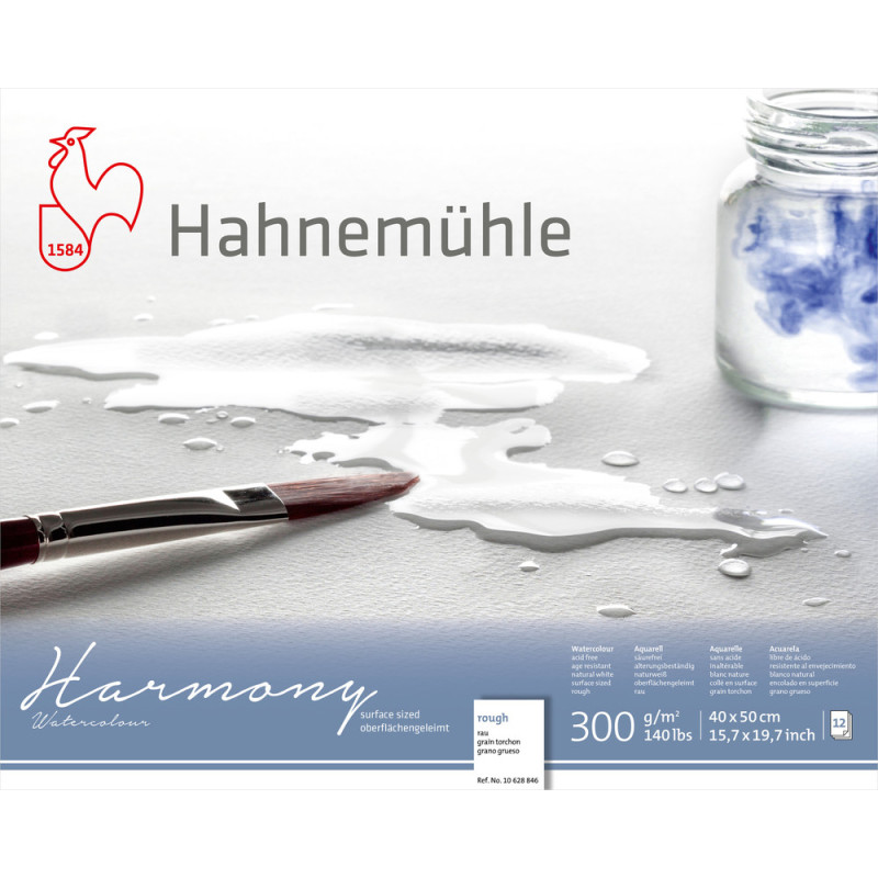 Blok do akwareli Hahnemuhle Harmony 300 g rough - 40x50 cm
