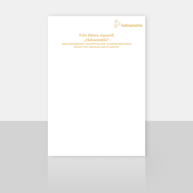 Papier do akwareli Hahnemühle 200 g cold pressed arkusz 50 x 65 cm