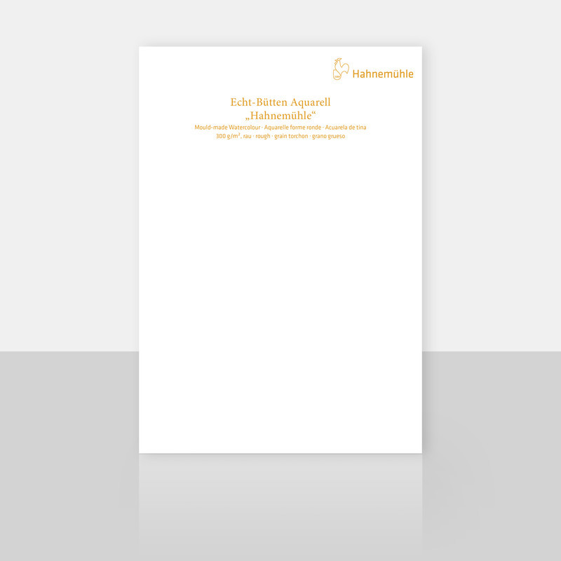 Papier do akwareli Hahnemühle 300 g rough arkusz - 50x65 cm