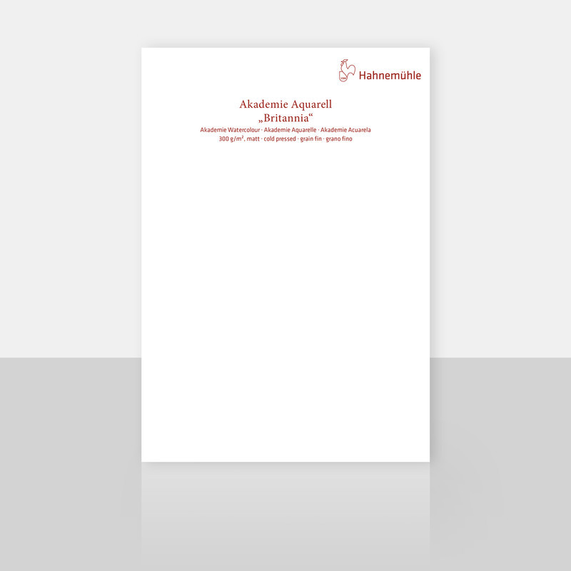 Papier do akwareli Hahnemuhle Britannia 300 g cold pressed arkusz - 50x65 cm