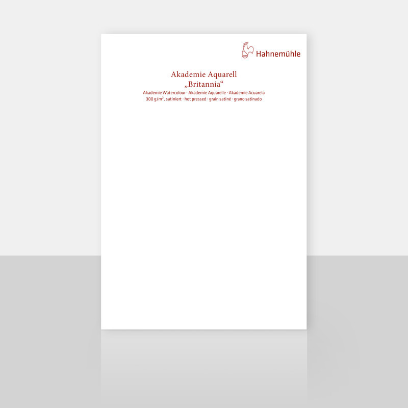 Papier do akwareli Hahnemuhle Britannia 300 g hot pressed arkusz - 50x65 cm