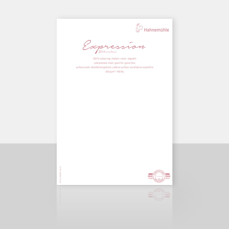 Bawełniany papier akwarelowy Hahnemuhle Expression 300 g cold pressed arkusz - 50x65 cm