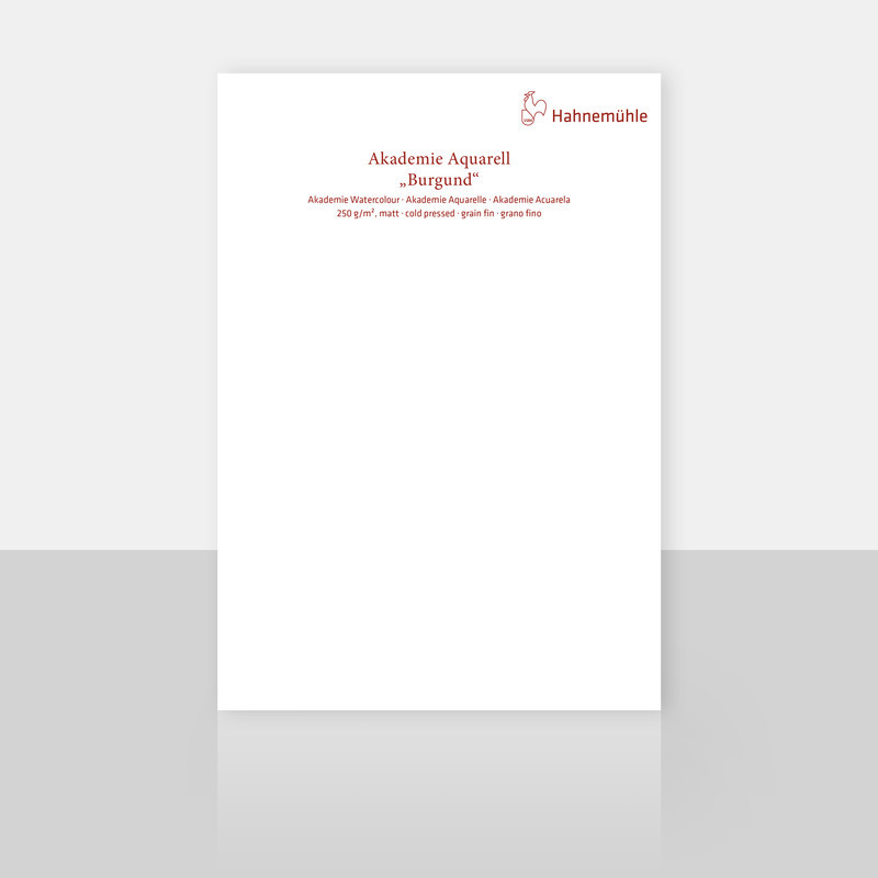 Papier do akwareli Hahnemuhle Burgund 250g cold pressed arkusz - 100x70 cm