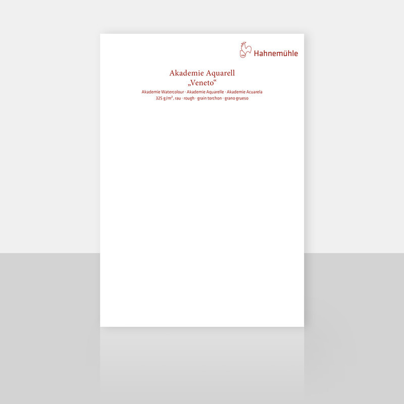 Papier do akwareli Hahnemuhle Veneto 325g rough/cold pressed - 50x65cm