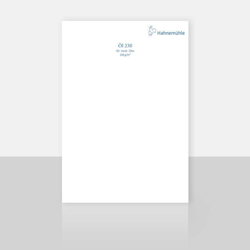 Papier do farb olejnych Hahnemühle Öl 230 gsm arkusz - 50x65 cm