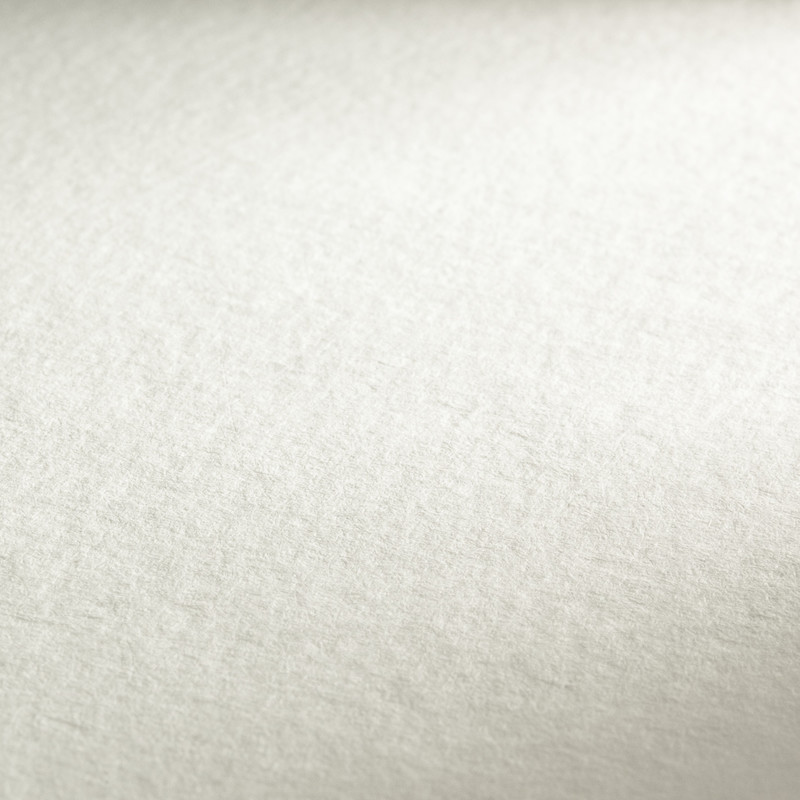 Papier do farb akrylowych Hahnemühle Acryl 360 gsm arkusz - 50x65 cm