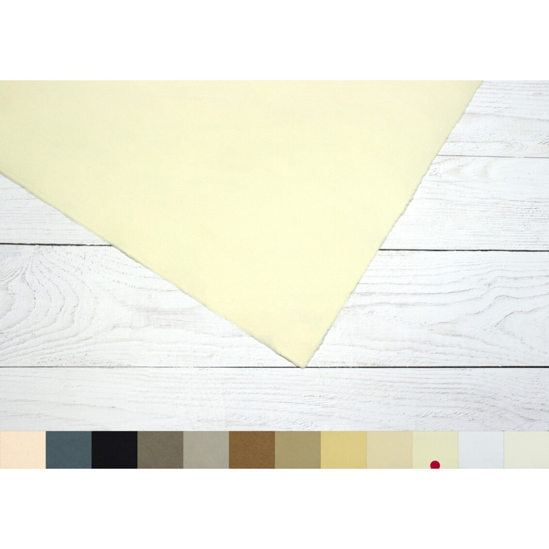 Papier do pasteli Hahnemühle Ingres Pastel 100 gsm - ivory - 48x62,5 cm