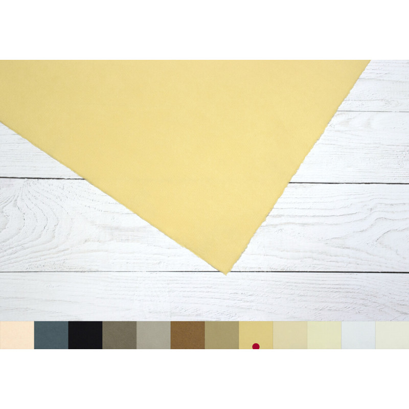 Papier do pasteli Hahnemühle Ingres Pastel 100 gsm - yellowish - 48x62,5 cm