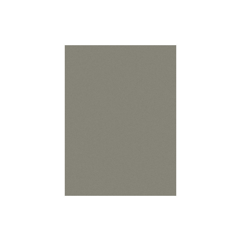 Papier do pasteli Hahnemühle Ingres Pastel 100 gsm - grey - 48x62,5 cm