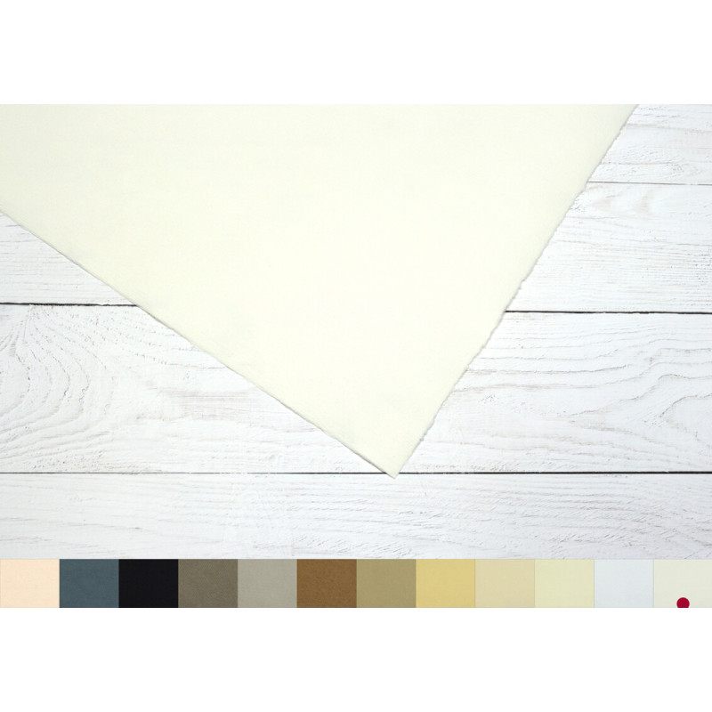 Papier do pasteli Hahnemuhle Ingres Pastel 100 gsm - white - 62,5x48 cm