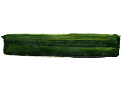 Farba olejno-żywiczna 35 ml Schmincke MUSSINI - 526 Sap Green
