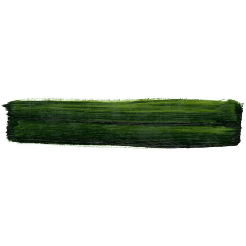 Farba olejno-żywiczna 150 ml Schmincke MUSSINI - 526 Sap Green