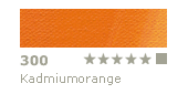 farba olejna Schmincke NORMA nr 300