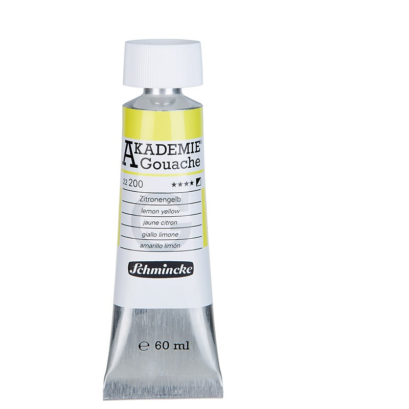 Schmincke AKADEMIE GOUACHE nr 200 - 60 ml