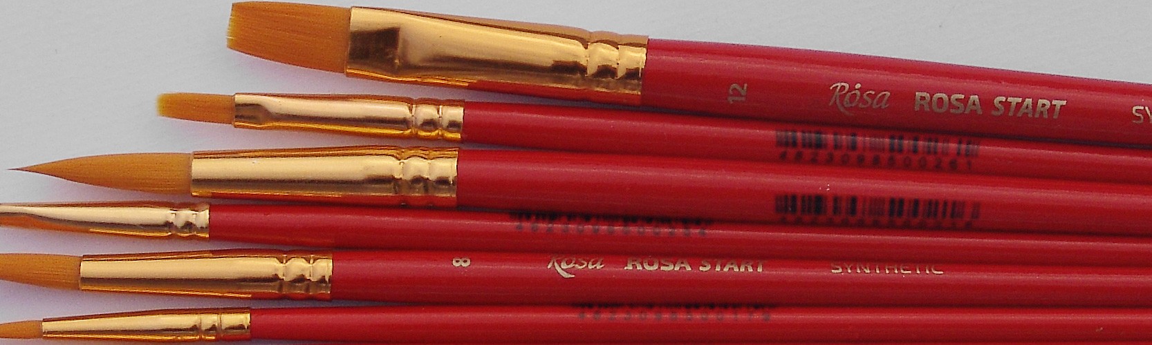 Rosa seria Start (F)