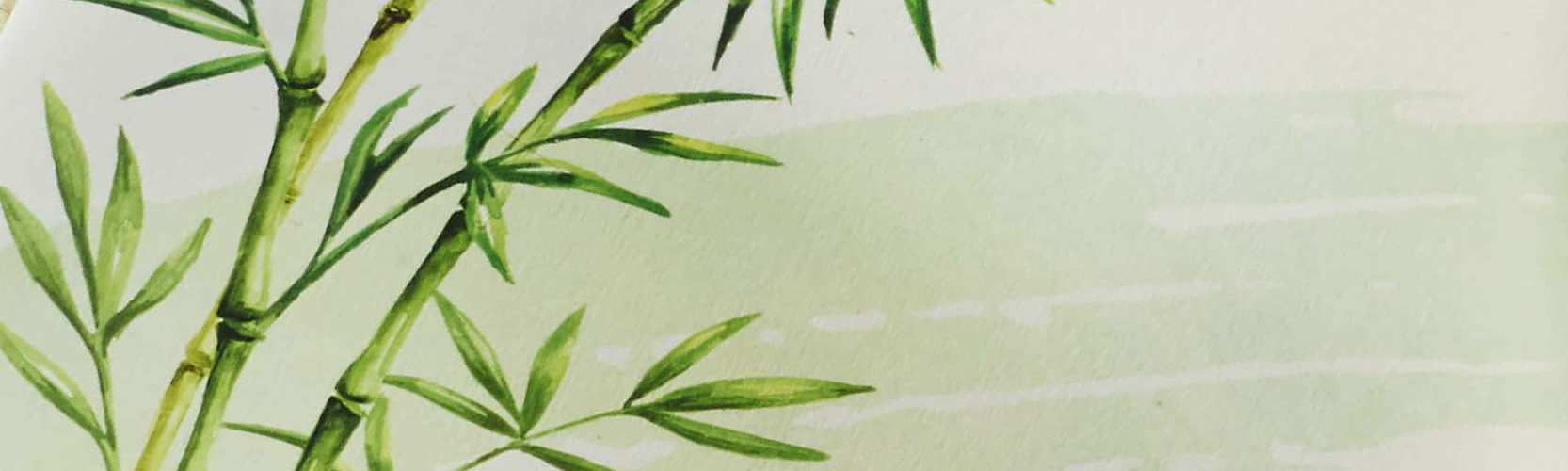 Carnet de Voyage Bamboo - Mixed Media 265 gsm