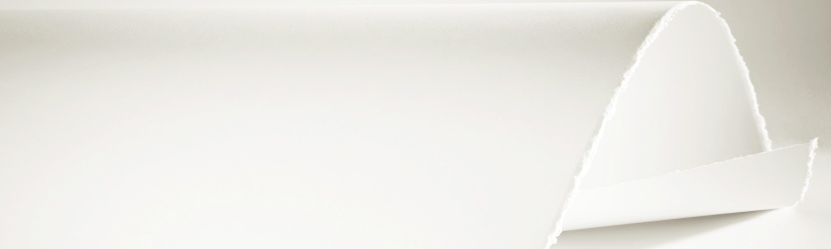 Hahnemühle w roli